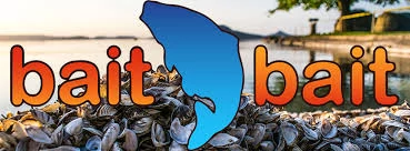 Bait Bait